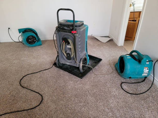 Best Local water damage restoration  in Taylor Creek, FL