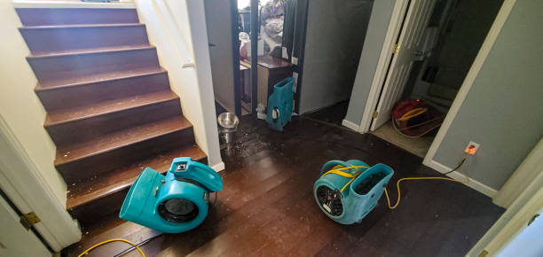 Best Water damage restoration experts  in Taylor Creek, FL