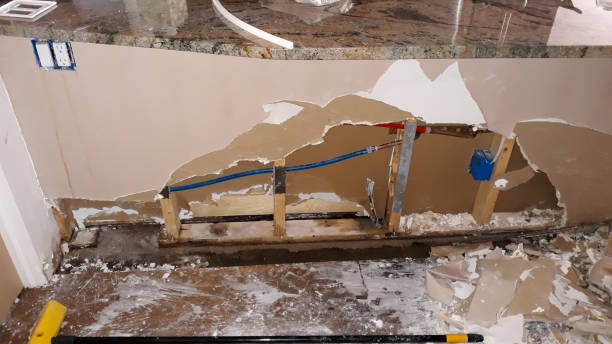 Best 24/7 water damage repair  in Taylor Creek, FL