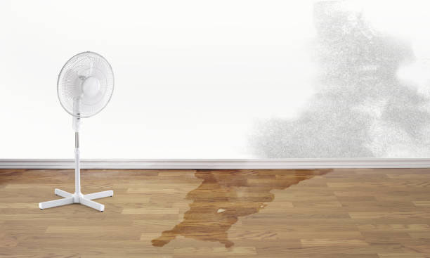 Best Fire Damage Restoration  in Taylor Creek, FL