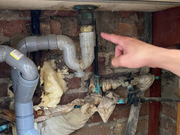 Best Sewage cleanup and water damage restoration  in Taylor Creek, FL