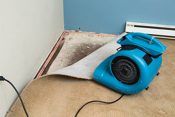 Best Ceiling water damage repair  in Taylor Creek, FL