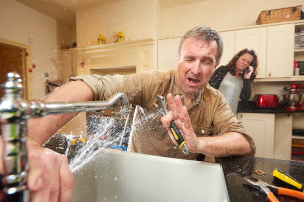 Best Professional water damage repair  in Taylor Creek, FL